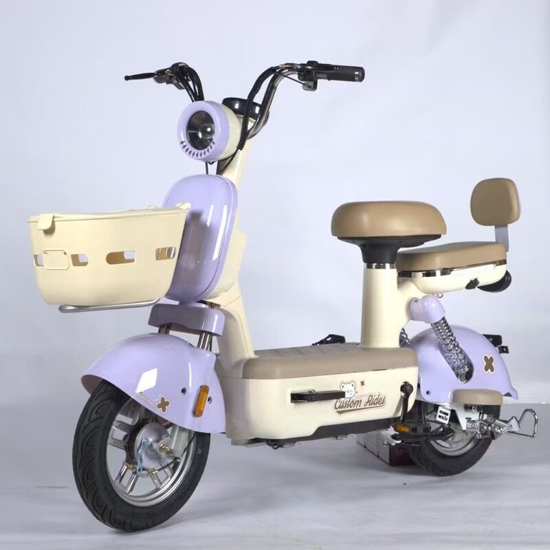 Yuan universe pro electric car electric new small national standard bicycle adult two-wheeled women walking battery car