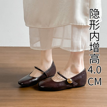 A17-12~2026���¿�С����������С�������䴺���޶���ٴЬ.