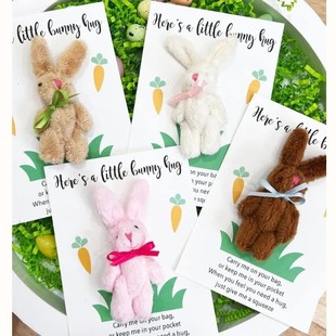 Cuddly Bunny Pocket Hug �ͻ �ɐ۵����ӿڴ���������