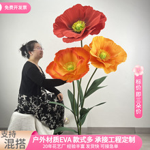 �����˴�ˇ���b���������̈��b�ˇ��Ӳ��þ��ͷ��漈��