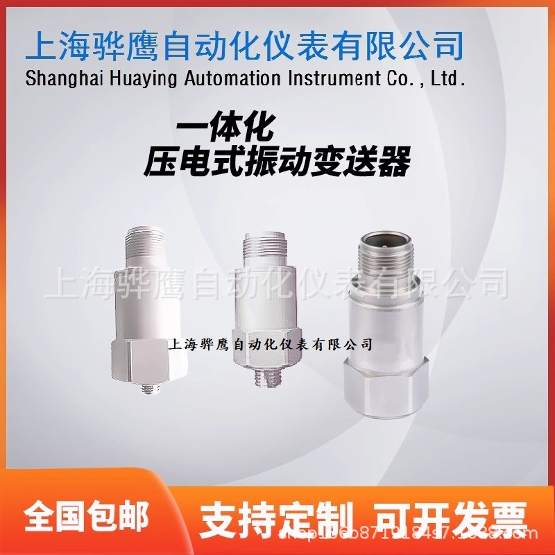 压电一体化振动变送器 (2).jpg