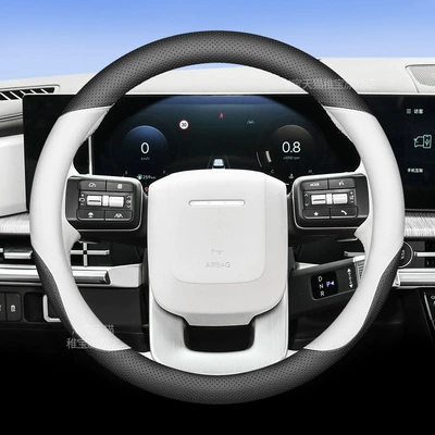 Seasons, Steering wheel