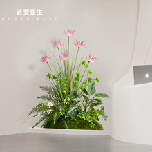 ����ֲ���쾰�̨���^�����҃Ș����¼ٻ����b����Gֲ�쾰�M��