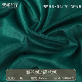 180克现货荷兰绒丽丝绒天鹅绒沙发布抱枕口袋布服装布料玩具绒布