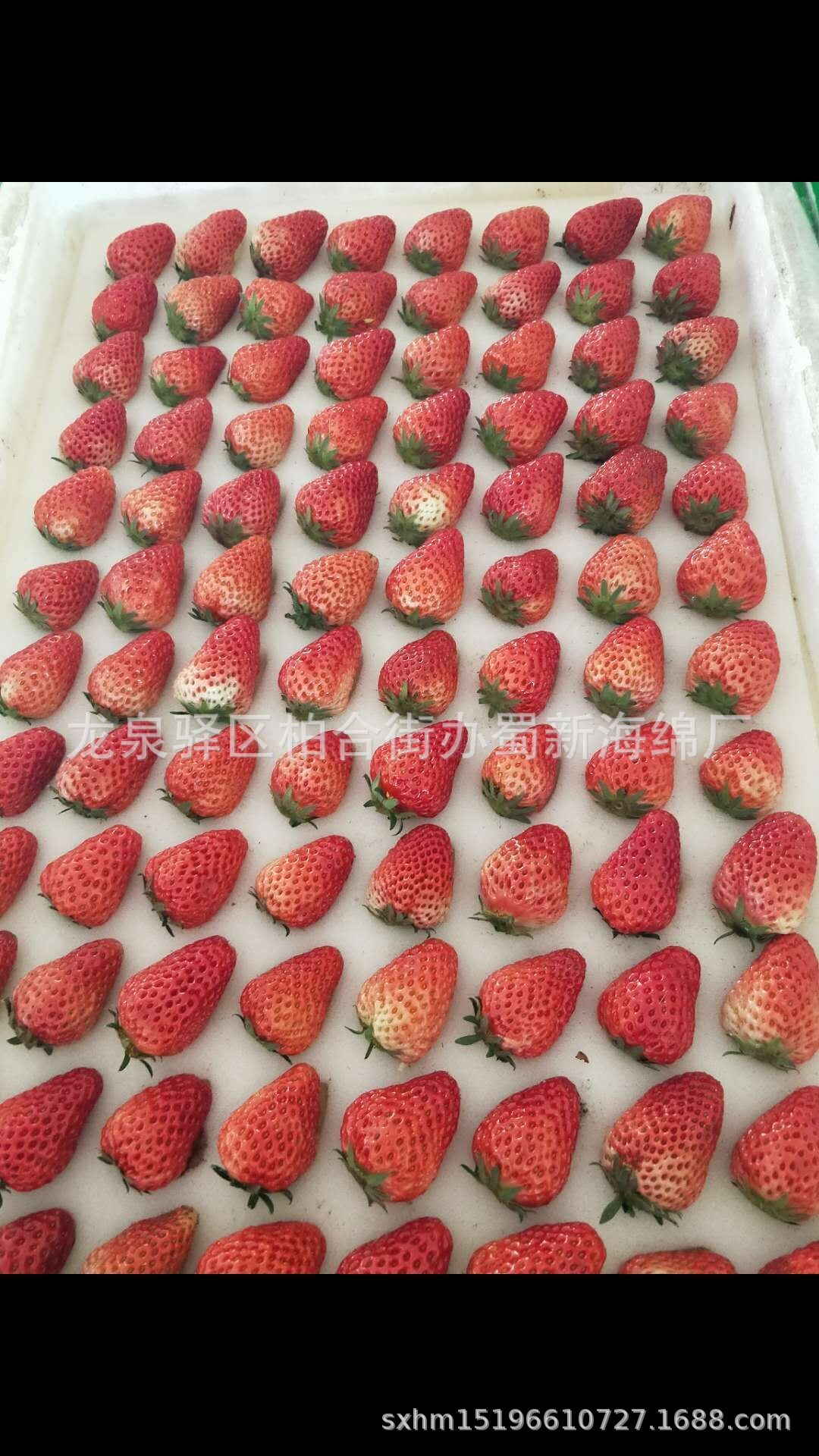 厂家供应66枚77枚成型异型草莓内衬缓冲包装海绵/拉伸草莓海绵