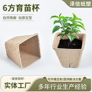 6�����籭 ��ľ���ܹ��������S�����t���������������ü��{���籭