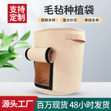 ë�ַNֲ�� �๦���߲˾G����ֲ�������R����������Lֲ������l