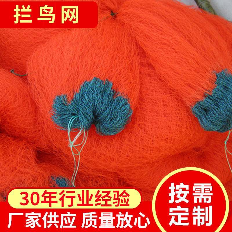 厂家供应 单丝葡萄园拦鸟网 桔红园林拦鸟网