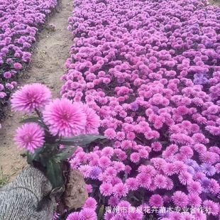 ������� �ذ���m�� �������l�ر��r��ݻ� ���N�ջ�