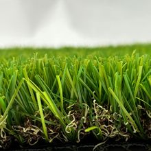 ƿSֱN^20/10/75eIͥԺ˹ƺl