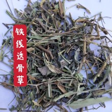 �F��͸�ǲ� 50-1000�˺�؛��؛