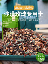 沙漠玫瑰土养护土种多肉颗粒营养土山盆栽土改良培养