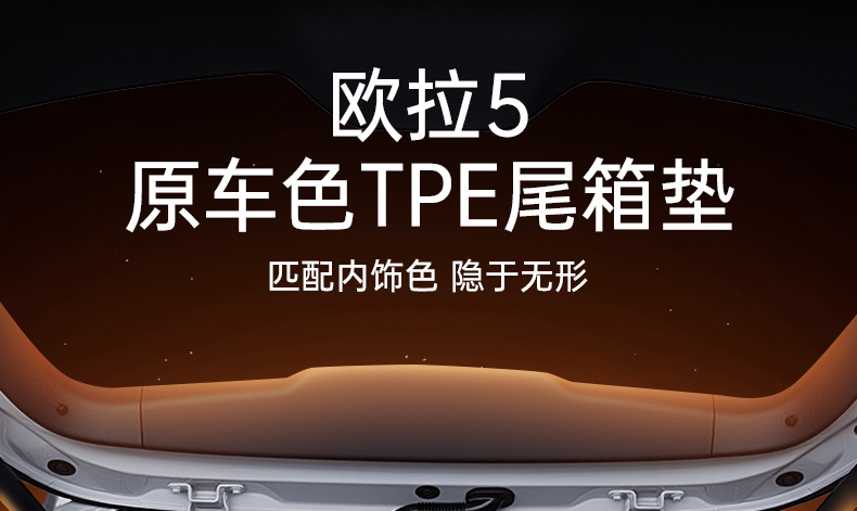 Suitable for Euler 5 Trunk Mat Tpe26 Great Wall Car Interior Modification Accessories Foot Mat Trunk Mat Supplies