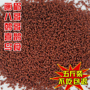 ɢ�b��ü�Bʳ�˸���������B�Zϲ�o���f�B�B��5���b���]