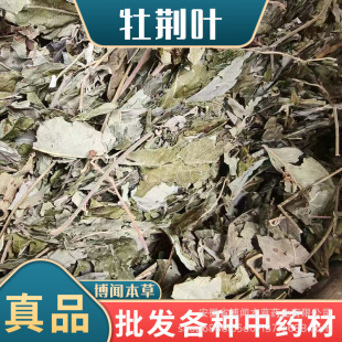 ��ș��ĵ�G�~�S�����~�S�G���~�S�G���S�G�lľ�G�~��ָ���䱳���l