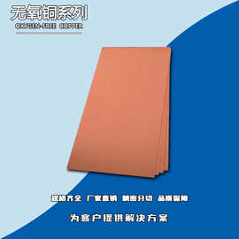 添锐直供 高纯度无氧紫铜板 C10100 TU0 TU00 铜含量99.99%以上