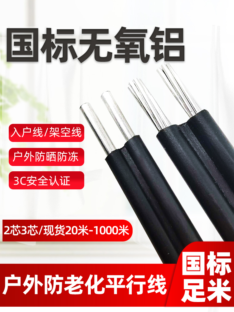 国标户外铝芯4 6 10 16 25平方电缆线2芯铝线家用架空防老化电线