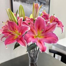 ��������ٺϻ������滨ˮ�B�r�������ٺ��ذ�