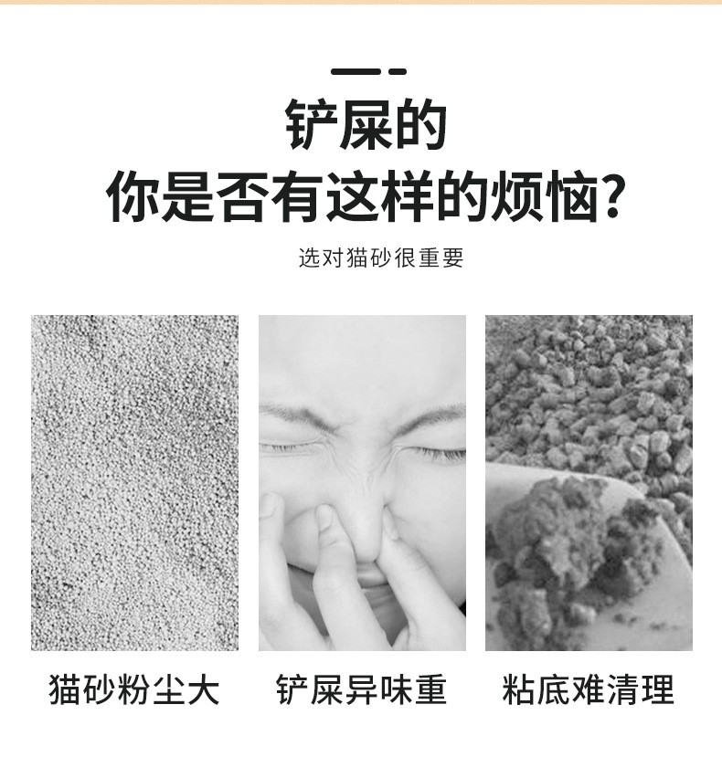 1_02.jpg