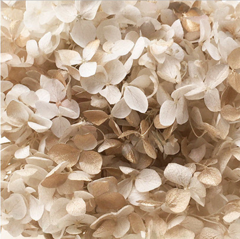 Anna Hortensia blanco + oro-20g/caja