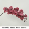 9 Short Phalaenopsis Dark Red Silk Cloth