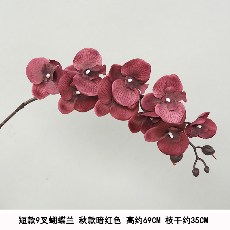 9-head short phalaenopsis dark red silk