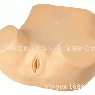 Advanced Gynecological Training Model Gynecological Practice Model Maternal and Child Skills Training Model Gynecological Training Model
