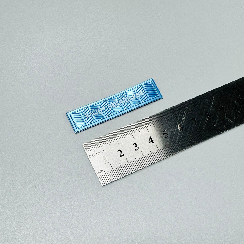 皮标79656.jpg