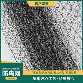 跨境货源厂家直销防鸟网型号齐全机场用拦鸟加粗尼龙线养殖防护网