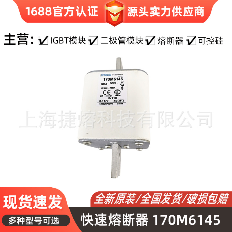 170M6145  170M6142 快速熔断器  保险丝 电子元器件 量大价优