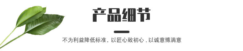 插图模板1_04