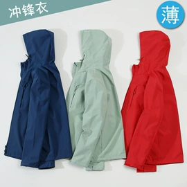 男Polo衫;男式T恤;广告衫T恤