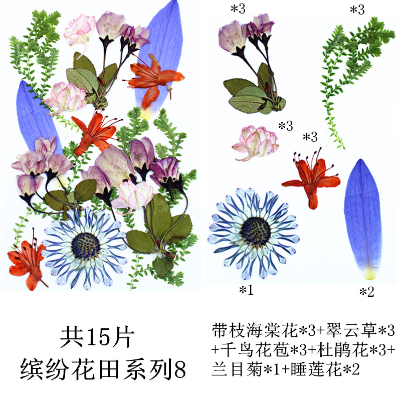 다채로운 꽃 밭 조합 8