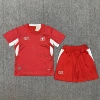 2026 Switzerland home stadium