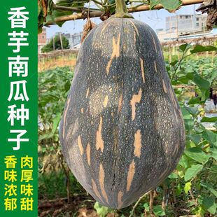 ���������ϹϷN�Ӵ����＾�ļ������۱���Ŵ�t�����ϹϷN�Ѳ˷N��