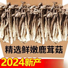 ¹�׹���؛500g¹�׾��ؼ�¹�׹��Ҝ�ʳ��ʳ�Ö|������ҰĢ���㹽