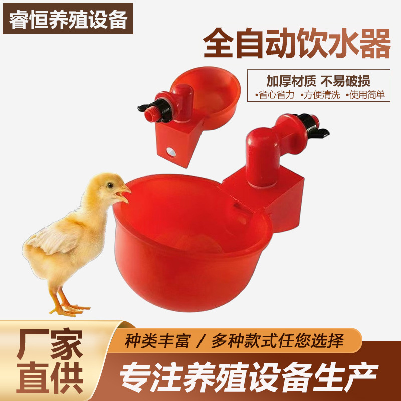 家禽自动饮水器鸡鸭喂鸡鸽子雏鸡鹌鹑喝水神器新款全自动饮水器