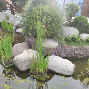 ˮ�غӵ��g��ʯ �Z��ʯ���@䁵��·ˮ�_ʯϪ��ʯ�@���쾰