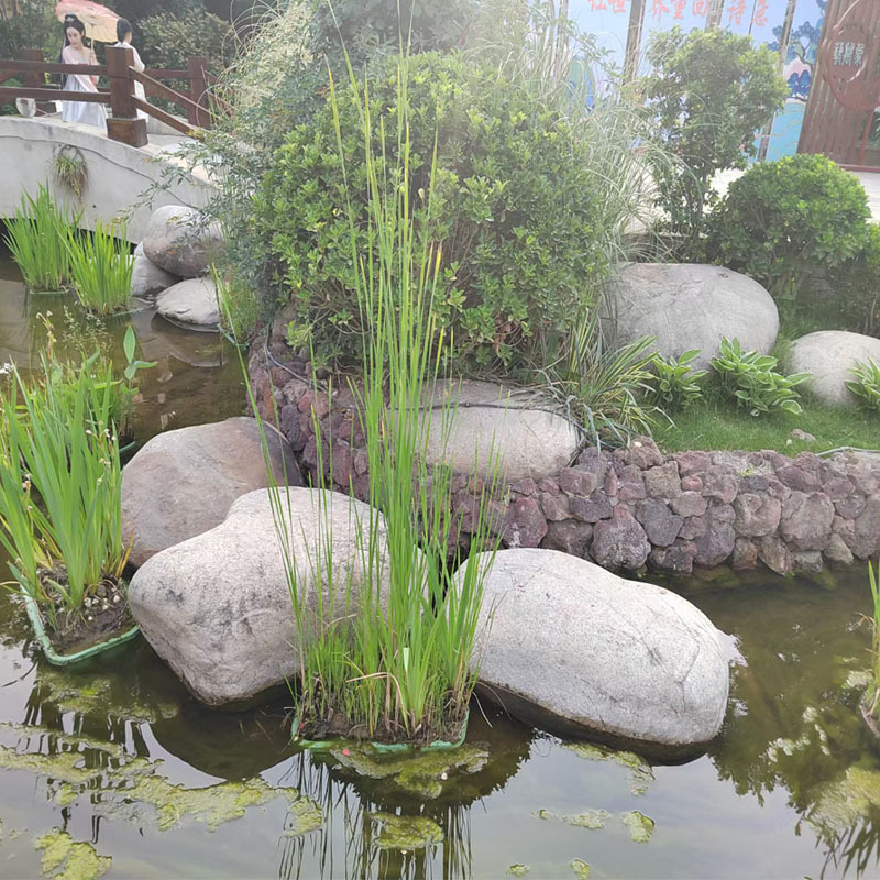 水池河道驳岸石 鹅卵石公园铺地铺路水冲石溪坑石园林造景