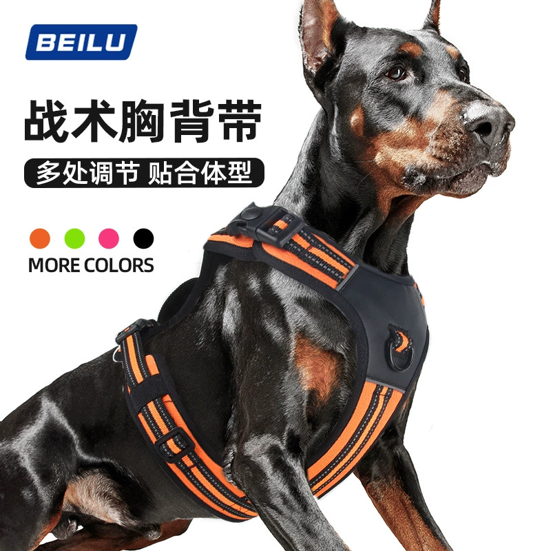 Трансграничный поводок для собак