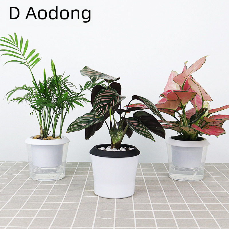 Oudong Transparent Lazy Planter Creative Nordic Minimalist Japanese Automatic Water Absorption Round Small Planter Large Factory Wholesale