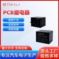 メーカー卸売 自動車配線ハーネス リレー NT73-12VDC-S-C 配線付き 12vPCB 車載用