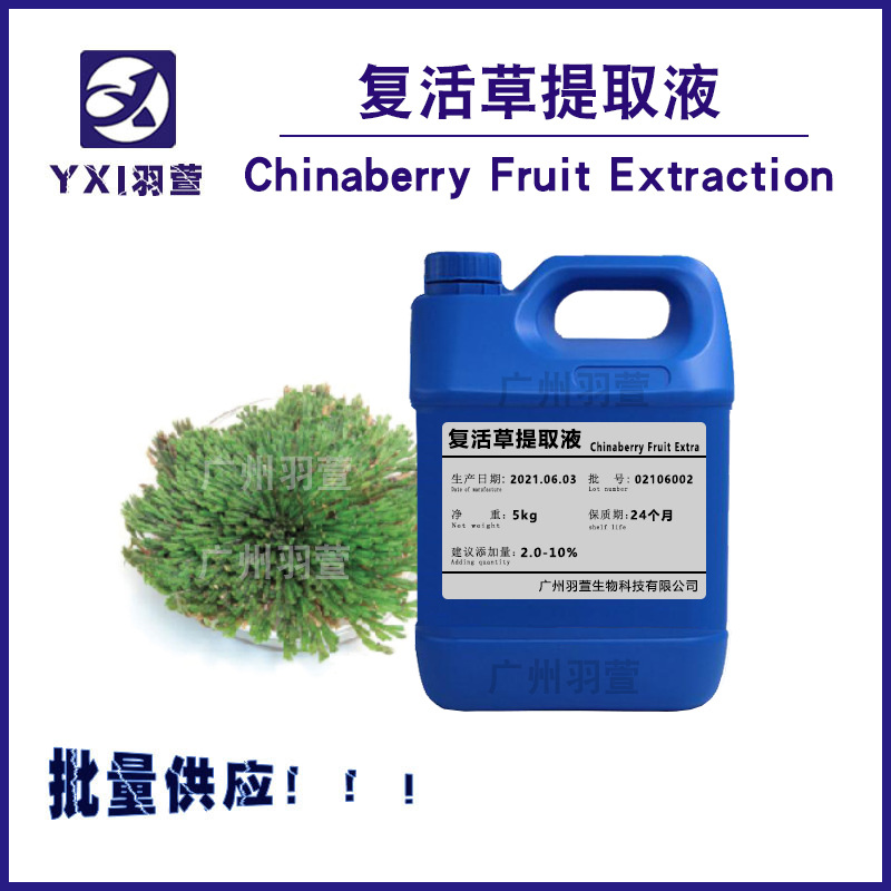 批量供应 复活草提取液 萃取液 不死草 卷柏叶提取物 化妆品活性