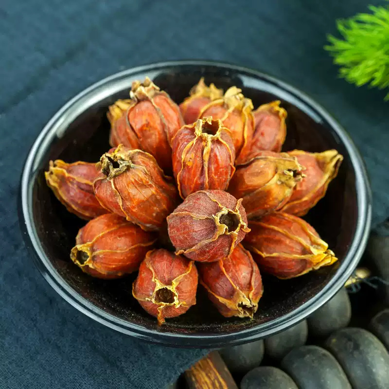 Dried Gardenia Fruit Zhi Zi 500g Whole Gardenia jasminoidis Fruit for Tea Wine and Foot Soak specifications