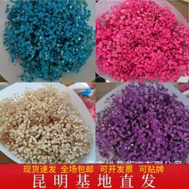 鲜花花艺制品;永生花