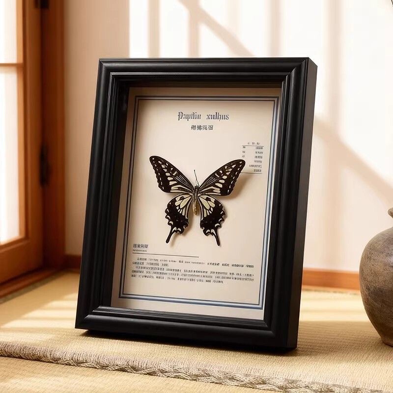 Butterfly specimen frame, glass three-dimensional hollow insect shell display frame, large size custom-made decoration