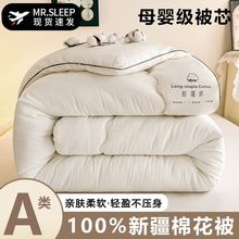 新疆棉花被子冬被纯棉花被芯冬季加厚棉被单人秋冬被双人被褥