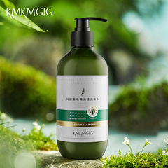 Hair Follicle Cleansing Shampoo, Scalp Dandruff Control Oil Control Volume Shampoo, Repair Follicle Head Care Hair Wash