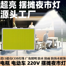 其他专用灯具