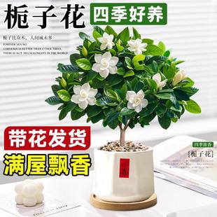 ���U�����Ǘd�ӻ������ļ��_���҃������׺��B���ܾGֲ�����辰